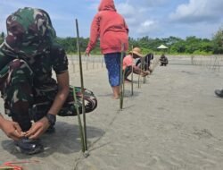 Kodim 1004/Kotabaru Tanam Ratusan Mangrove untuk Jaga Ekosistem Pantai Teluk Hilalang