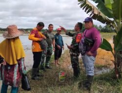 Babinsa dan PPL Tapsel Lakukan Survei Lahan untuk Optimalkan Potensi Pertanian