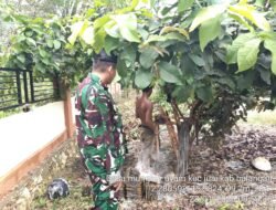 Koramil Juai Lanjutkan Pembangunan Sarana Program KDKMP di Desa Mungkur Uyam