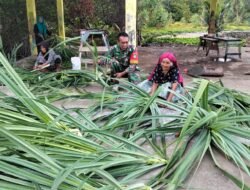Jajaran Korem 012/TU Dukung Kerajinan Tikar Pandan, Babinsa Bantu Warga Kumpulkan Daun di Sabang