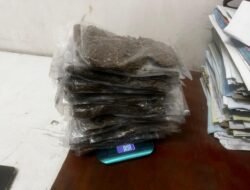 Satgas Korpasgat dan Avsec Gagalkan Pengiriman Miras & 808 Gram Ganja via Kargo Udara di Bandara Sentani, Papua