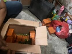 Satgas Korpasgat dan Avsec Gagalkan Pengiriman Miras dan Petasan ke Wamena Jelang Nataru 2025/2026