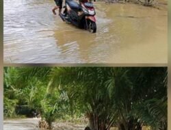 Anggota Babinsa Koramil 02/Woyla Bantu Dorong Motor Warga Melintasi Banjir