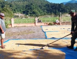 Babinsa Koramil Jaya Bantu Warga Jemur Padi di Pasar Lamno
