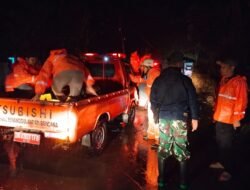 Amuntai, Koramil 1001-07 Bersama BPBD Sigap Bersihkan Pohon Tumbang Akibat Cuaca Ekstrem