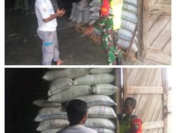Jelang NATARU, Babinsa Koramil 03 Kaway XVI Cek Stok Beras di Kilang Padi Desa Pasi Jambu