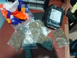 Satgas Korpasgat Gagalkan Penyelundupan 93 Gram Ganja dari Jayapura ke Ambon
