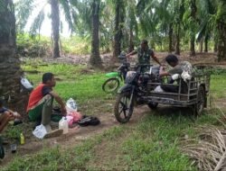 Babinsa Posramil Darul Hikmah Laksanakan Komsos dengan Petani Sawit di Desa Fajar