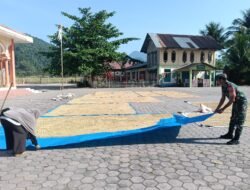 Babinsa Koramil 01/Jaya Bantu Warga Jemur Padi untuk Kebutuhan Keluarga