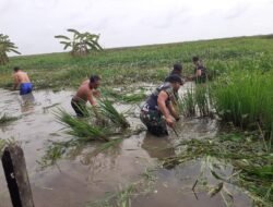 Koramil 1001-10 Babirik Gelar Karya Bakti Batingsor Bersama Warga
