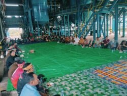Danramil Sungai Laur Hadiri Syukuran dan Ritual Adat Tahunan di PT. BMS