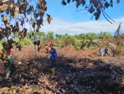 Jajaran Korem 012/TU Intensifkan Patroli Terpadu Cegah Karhutla di Aceh Selatan
