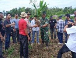 Danramil 06/Teunom Wakili Dandim Hadiri Tanam Perdana Sawit Eks Kombatan