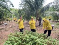 Ketua Persit Ranting XXXIX Dim 0114 Gelar Kegiatan Ketahanan Pangan di Kebun Keutapang