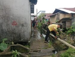 Aksi Cepat Babinsa Koramil 1203-12/Delta Pawan, Gelar Gotong Royong Evakuasi Pohon Tumbang Demi Keselamatan Warga
