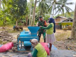 Dukung KetahananPangan: Babinsa Koramil 1316-04/Botumoito Terjun Langsung Bantu Warga Giling Jagung
