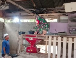 Babinsa Pasie Raya Dampingi Warga Giling Padi untuk Kebutuhan Sehari-hari