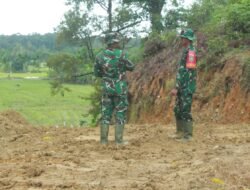 Dari Tanah Bergelombang Menjadi Jalur Terarah