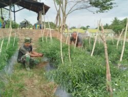 TMMD Ke-127 Kodim 0105/Aceh Barat Ubah Jalan Desa Jadi Simbol Kebangkitan