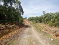 Satgas TMMD Bangun Jalan dan Harapan Sekaligus