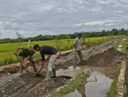 TMMD Ke-127 Kodim 0105/Abar Perkuat Talut, Perkuat Ekonomi