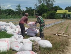 Jalan Terbangun, Ladang Tersenyum