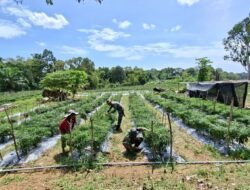 Infrastruktur dan Pangan Seiring Sejalan