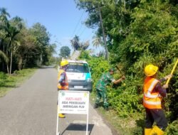 Babinsa Panga Bantu PLN Bersihkan Pohon Ganggu Jaringan Listrik