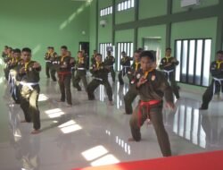 Pencak Silat Militer: Program Bela Diri Wajib Bagi Prajurit TNI AD