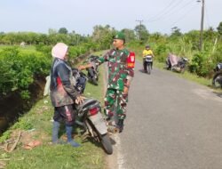 Babinsa Panga Dampingi Petani Panen, Dorong Peningkatan Produksi Padi