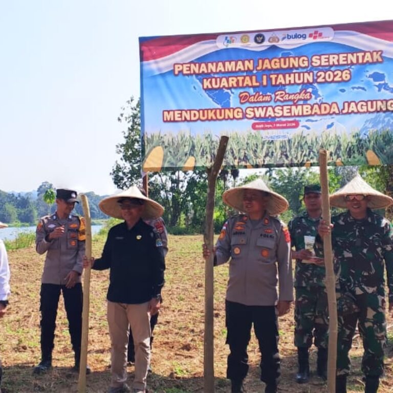 Danramil 01/Jaya Hadiri Penanaman Jagung Serentak Kuartal I Tahun 2026
