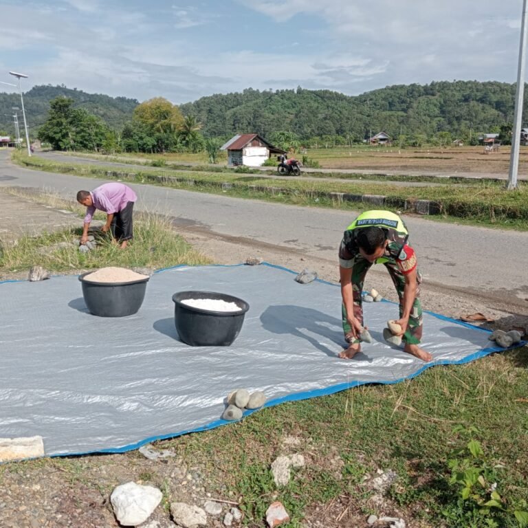 Babinsa Koramil 01/Jaya Bantu Warga Jemur Kelapa Parut di Lamno