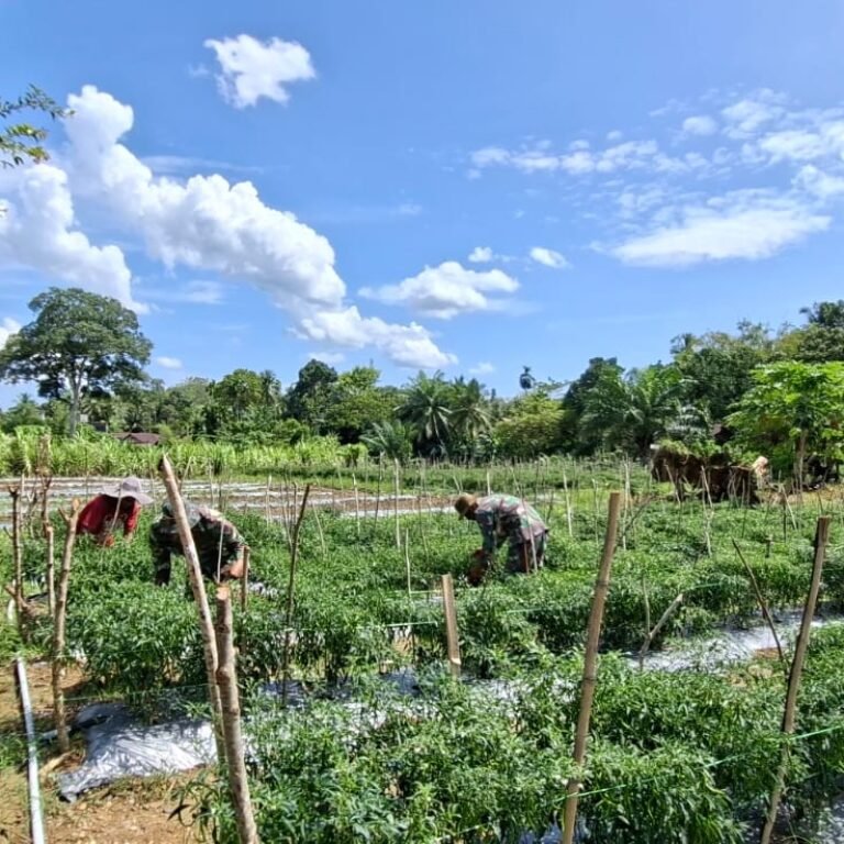 Kebun Hortikultura TMMD Jadi Warisan Berharga bagi Desa