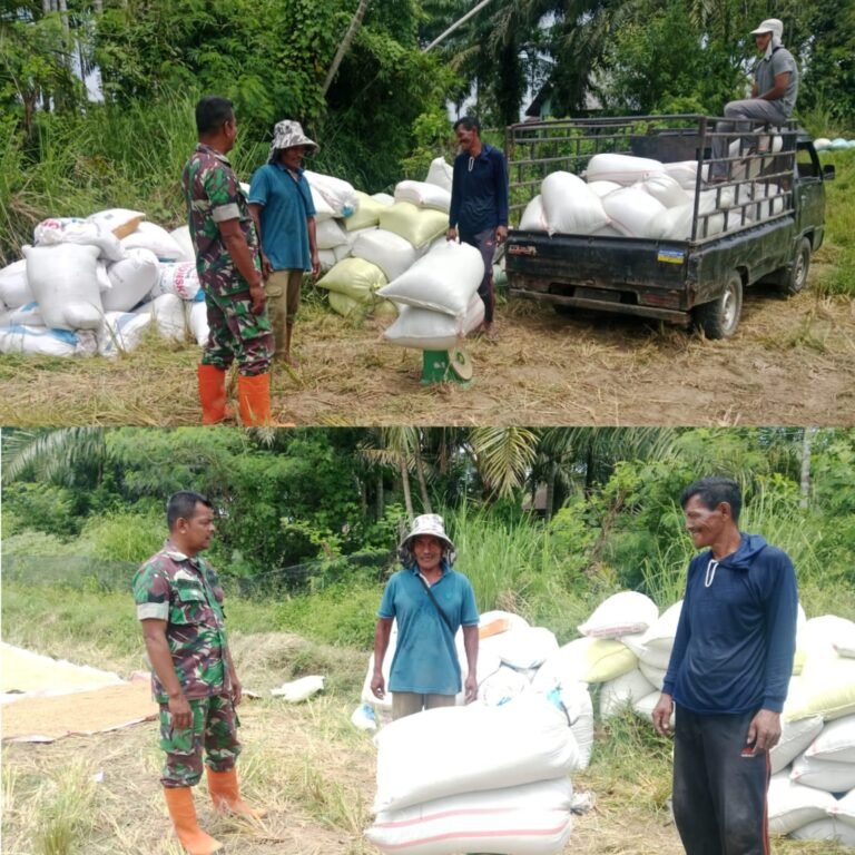 Pastikan Harga Stabil, Babinsa Posramil 05/Pante Ceureumen Turun Langsung Awasi Hasil Panen Petani