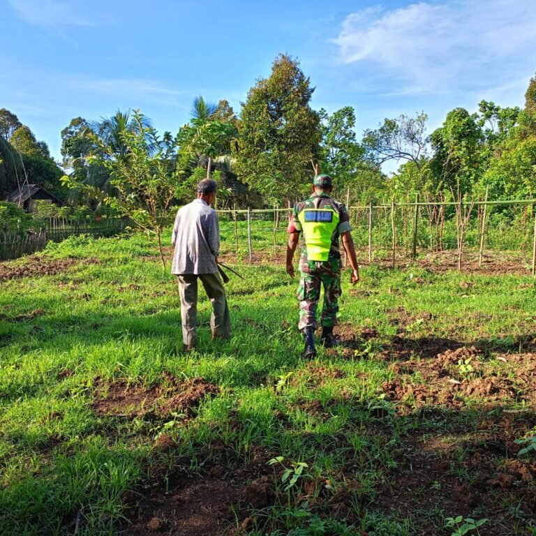 Babinsa Jaya Komsos dengan Petani Kacang Panjang di Desa Leupe