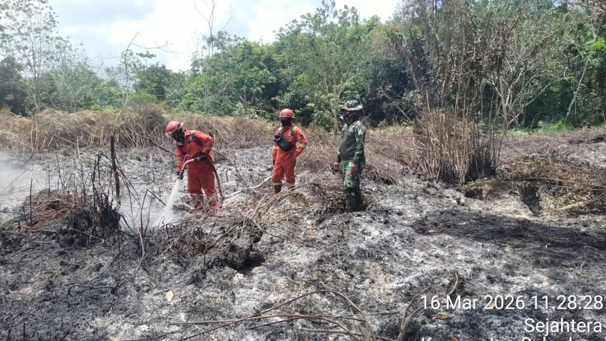 Babinsa Koramil 1203-02/Sukadana Laksanakan Ground Check dan Pemadaman Titik Panas di Desa Sejahtera