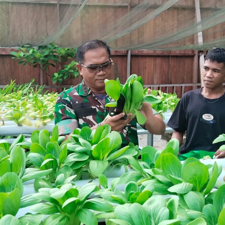 Korem 182/JO Kembangkan Kebun Sayur Organik untuk Prajurit