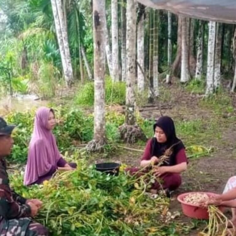 Dukung Ketahanan Pangan, Babinsa Jajaran Korem 012/TU Dorong Pemanfaatan Lahan Pekarangan