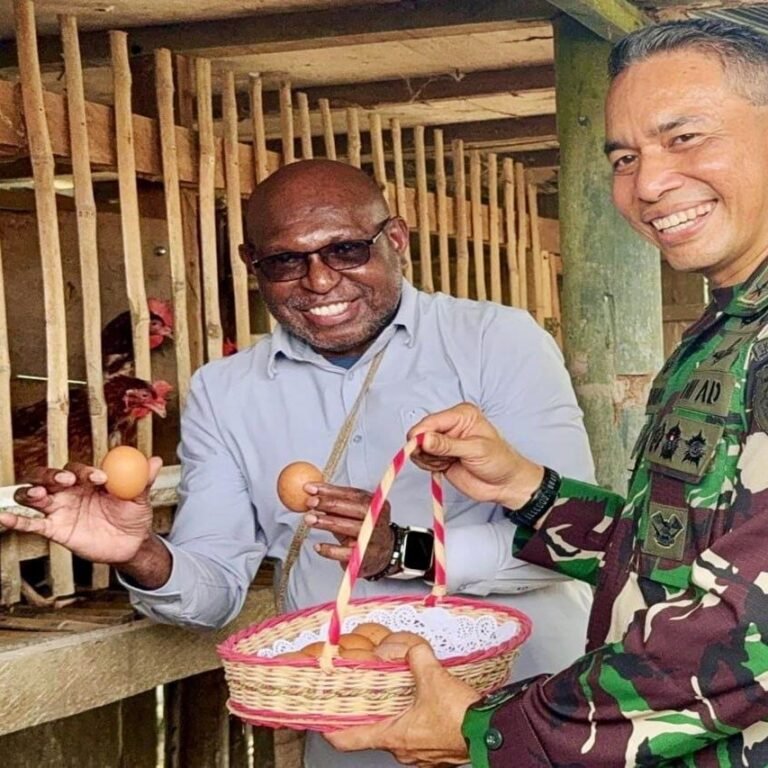 Pangdam Lucky Avianto Kembangkan Peternakan Ayam Petelur di Papua