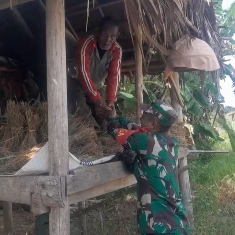 Babinsa Koramil 03/Setia Bakti Dampingi Petani Lhok Bot Perkuat Ketahanan Pangan