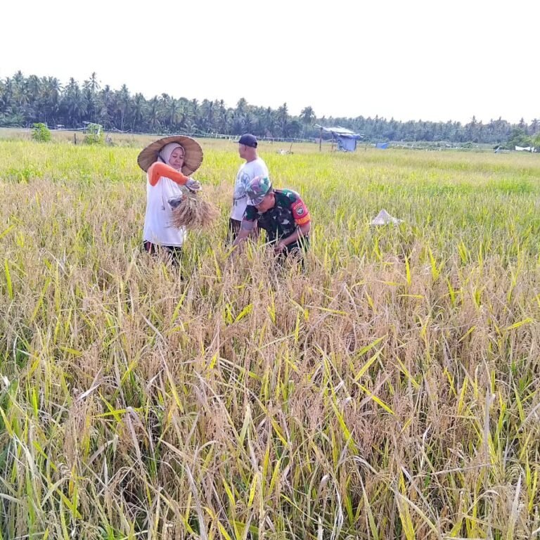 Koramil Teunom dan Posramil Pasie Raya Bersama Warga Paya Baro Kelola Lahan Pertanian