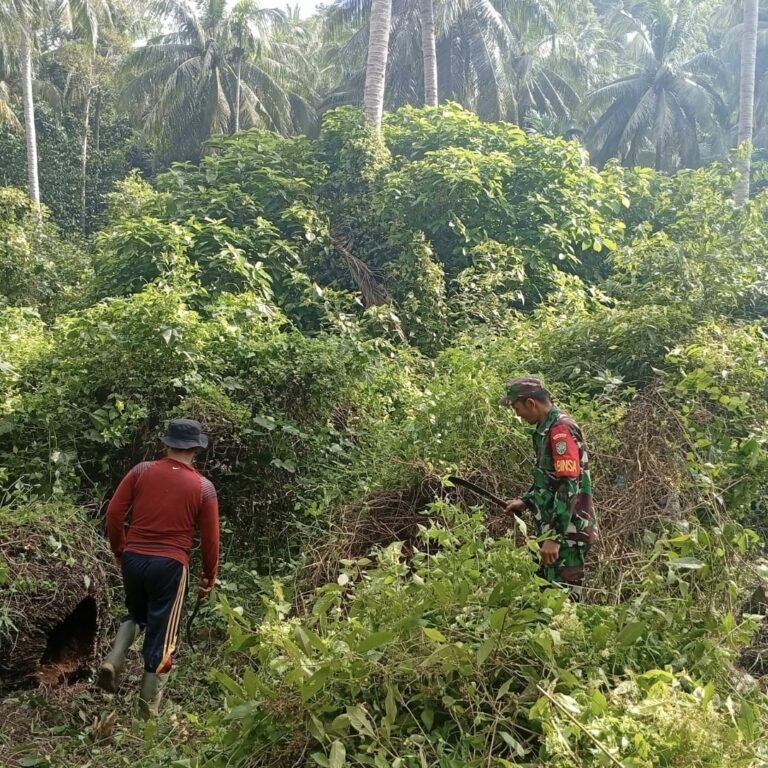 Babinsa Koramil 02/Sukakarya Kodim 0112/Sabang Jajaran Korem 012/TU Gotong Royong Bersihkan Lahan BUMG