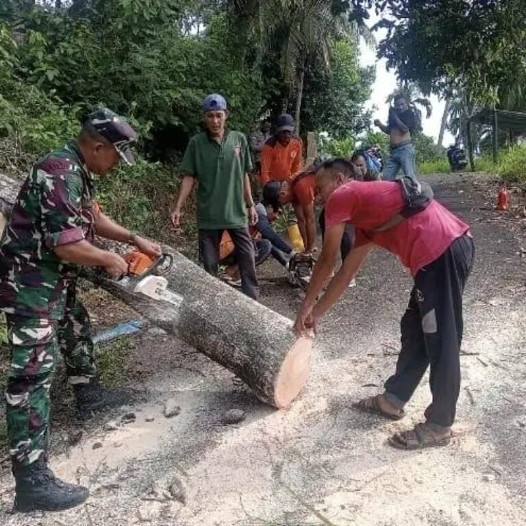 Babinsa Koramil 02/Sukakarya Kodim 0112/Sabang Jajaran Korem 012/TU Bantu Evakuasi Pohon Tumbang