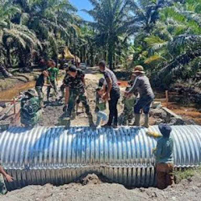 Prajurit Kodim 0116/Nagan Raya Jajaran Korem 012/TU Bangun Jembatan Aramco di Kuala Tripa