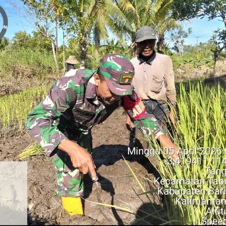 Babinsa Tabunganen Dampingi Petani dalam Program Luas Tambah Tanam di Tanggul Rejo