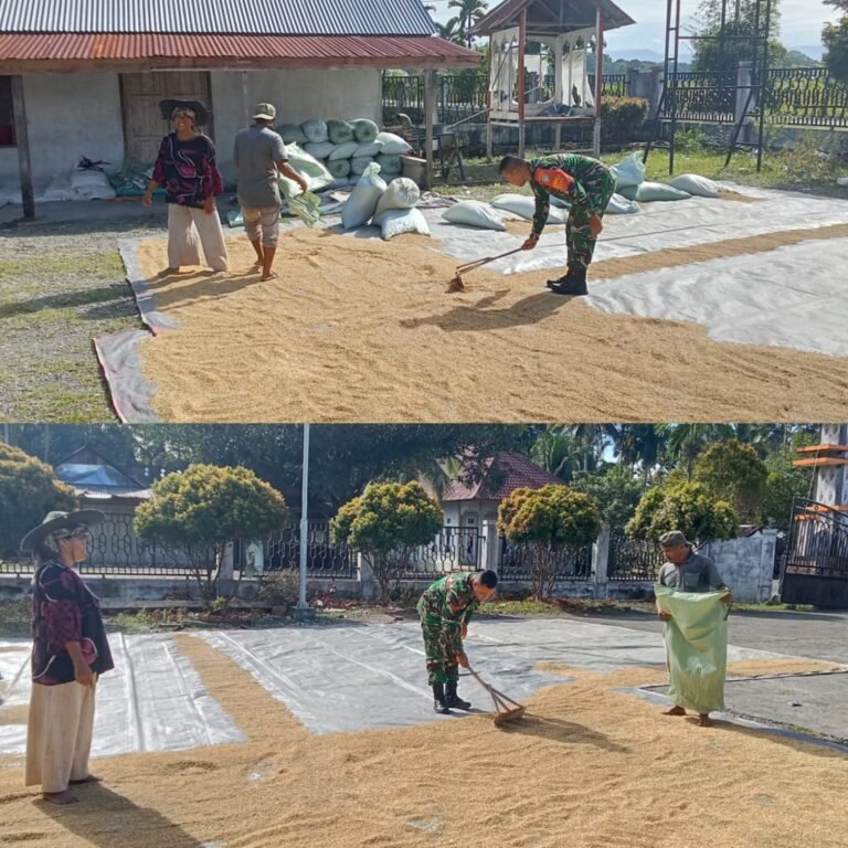 Wujud Dukungan Ketahanan Pangan, Babinsa Bantu Petani Pascapanen