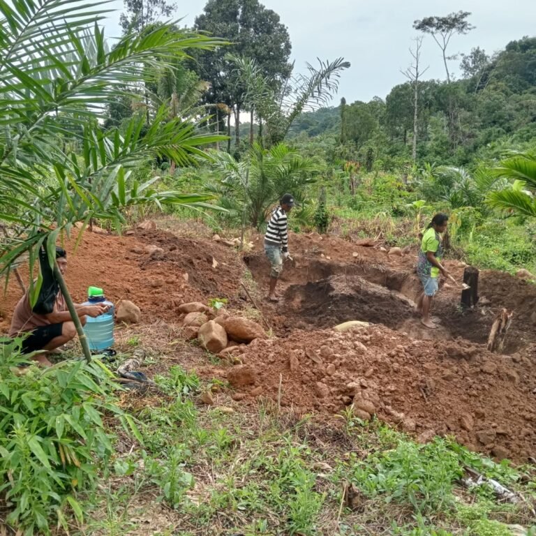 Kodim 1001/HSU-Balangan Lanjutkan Pembangunan Jembatan Perintis Garuda di Dayak Pitap