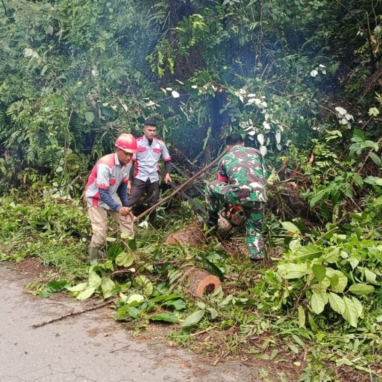 Babinsa Koramil 03/Setia Bakti Bersama Tim PLN Tinjau Lokasi Rawan Pohon Tumbang di Jalan Nasional