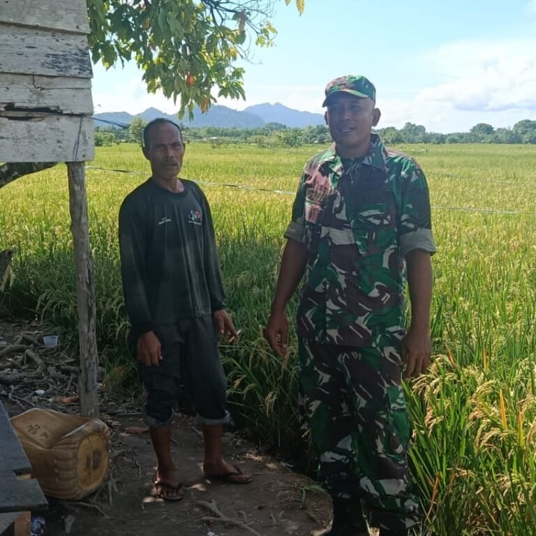 Babinsa Koramil 03/Setia Bakti Dampingi Petani Cek Pertumbuhan Padi di Paya Laot