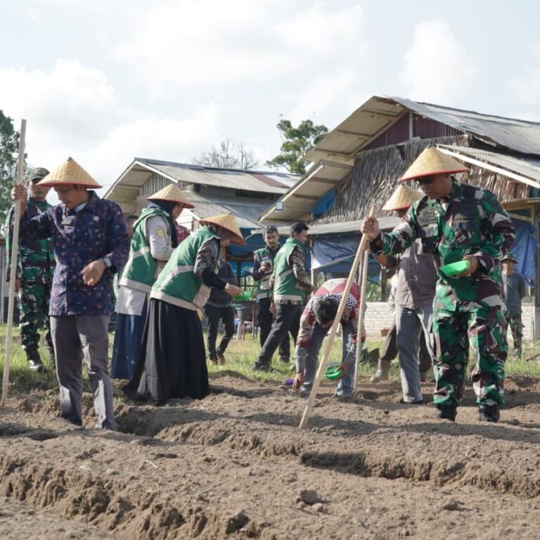 Korem 012/TU Bersama Pemda Aceh Barat Tanam Jagung Dukung Ketahanan Pangan